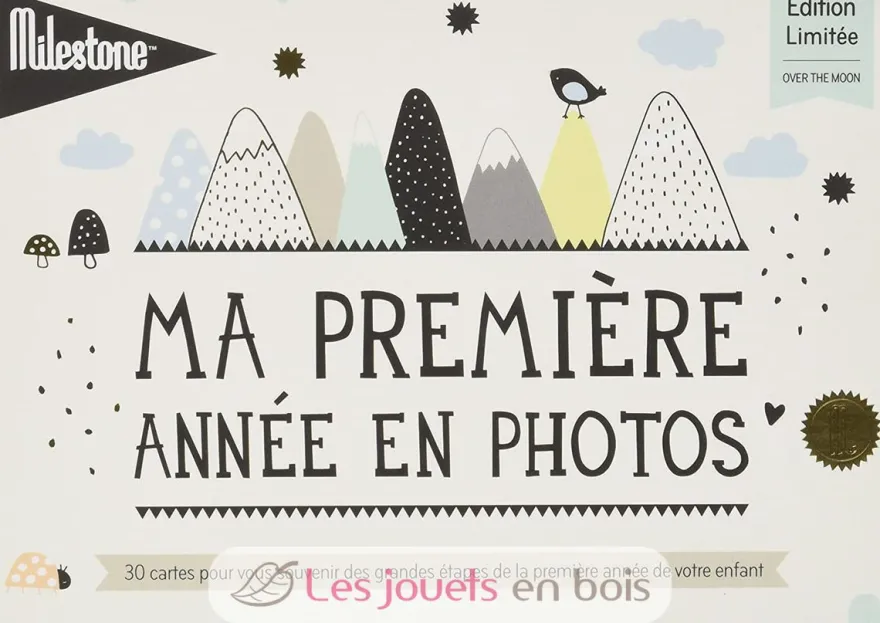Cartes souvenirs - Ma première année Over the moon - Milestone