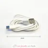 Câble USB-C pour lampes Vintiun