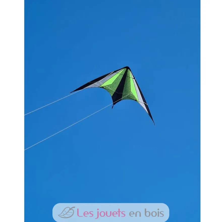 Cerf-volant directionnel Neon Loop - Günther