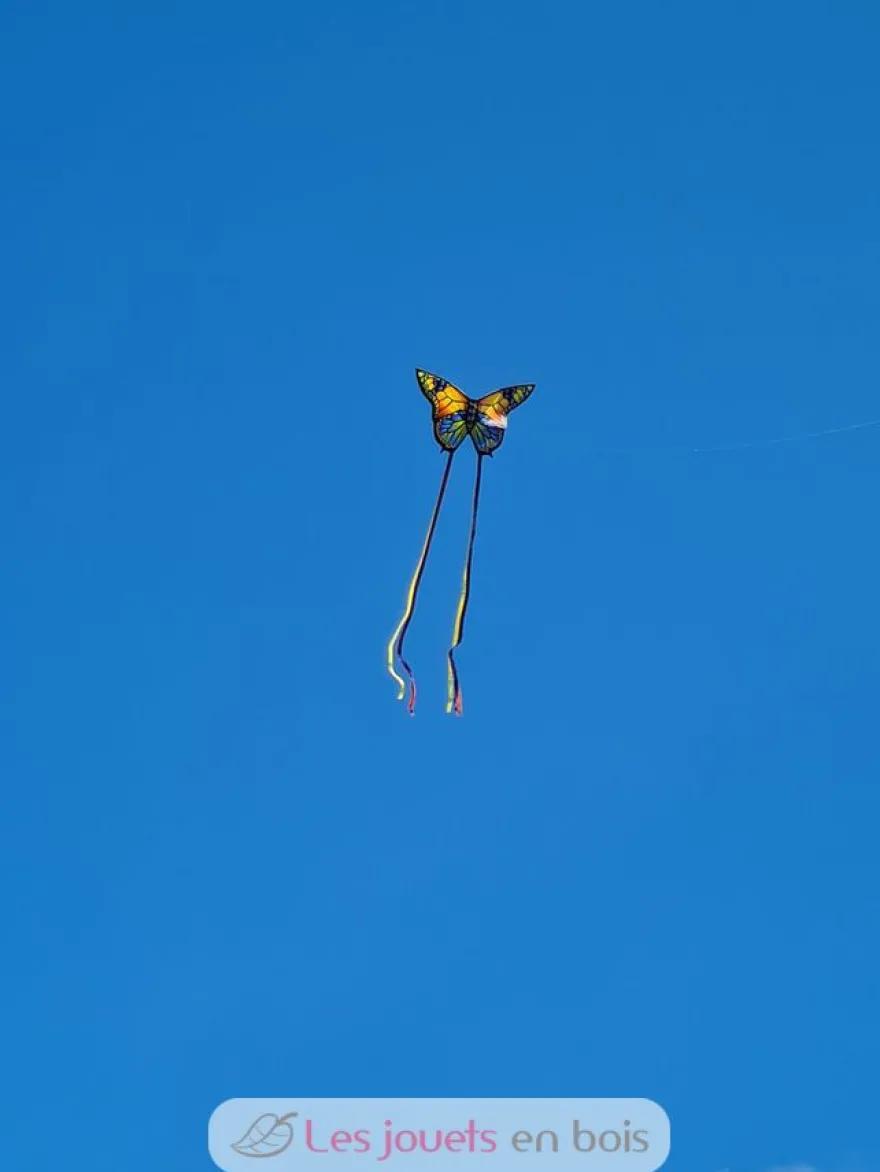 Cerf-volant en polyester Papillon - Günther