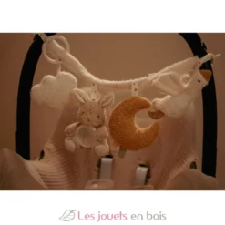 Chaine d'activités pour poussette Newborn Naturals - Little Dutch