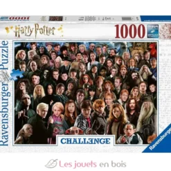 Challenge Puzzle Harry Potter 1000 Pcs - Ravensburger