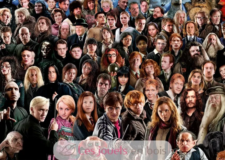 Challenge Puzzle Harry Potter 1000 pièces - Ravensburger