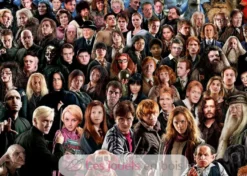 Challenge Puzzle Harry Potter 1000 pièces - Ravensburger