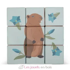 Chariot avec puzzle de cubes animaux - Sevi