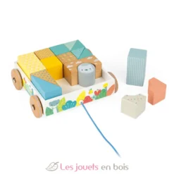 Chariot de cubes à promener Pure - Janod
