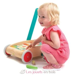 Chariot de marche avec blocs colorés - Tender Leaf Toys