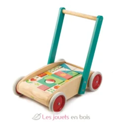 Chariot de marche avec blocs colorés - Tender Leaf Toys