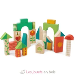 Chariot de marche avec blocs colorés - Tender Leaf Toys