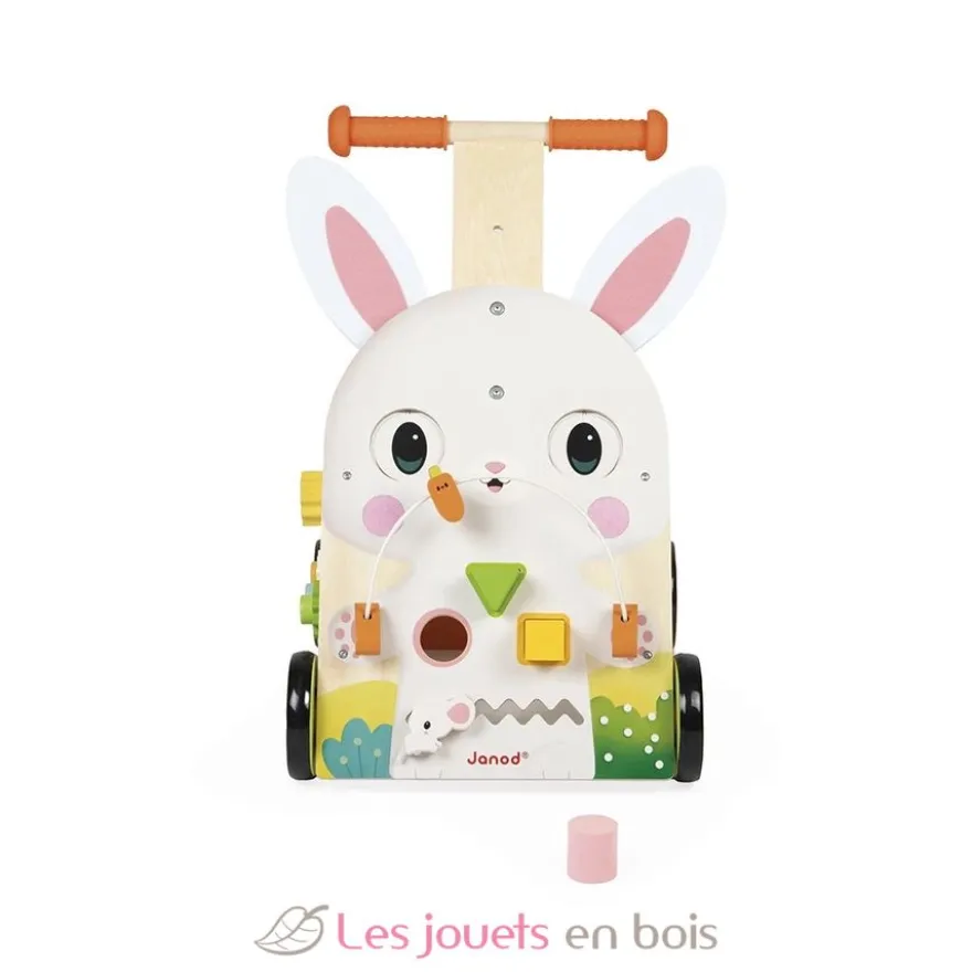 Chariot de marche multi-activités Lapin - Janod