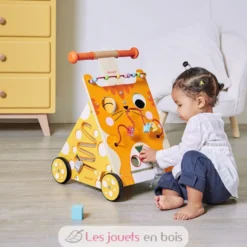 Chariot multi-activités Chat - Janod
