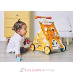 Chariot multi-activités Chat - Janod