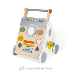 Chariot multi-activités Sweet Cocoon - Janod
