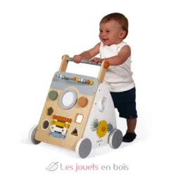 Chariot multi-activités Sweet Cocoon - Janod