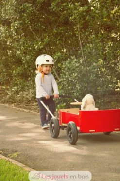 Chariot Wishbone Wagon 3 en 1 - Wishbone Design Studio