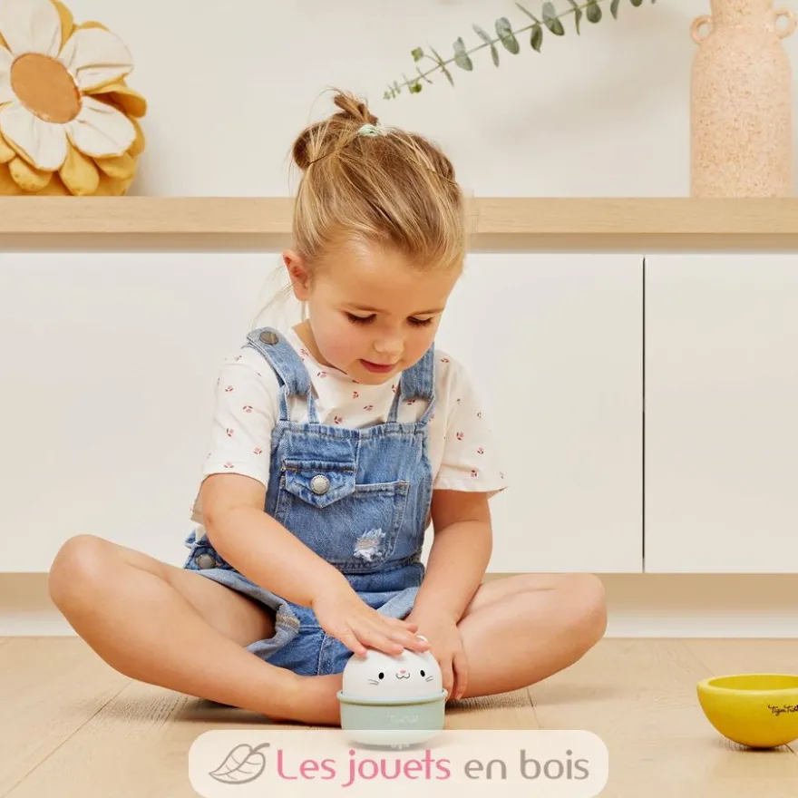 Chat culbuto et véhicule à friction - Tiger Tribe