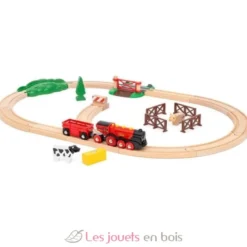 Circuit de train campagne avec locomotive à piles - Brio