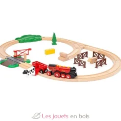 Circuit de train campagne avec locomotive à piles - Brio