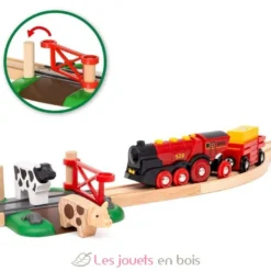 Circuit de train campagne avec locomotive à piles - Brio