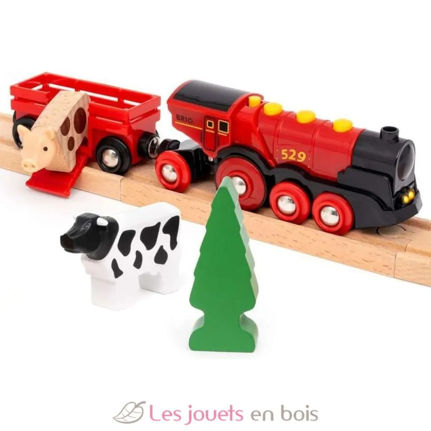 Circuit de train campagne avec locomotive à piles - Brio