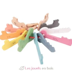 Clés de comptage en bois arc-en-ciel - TickiT