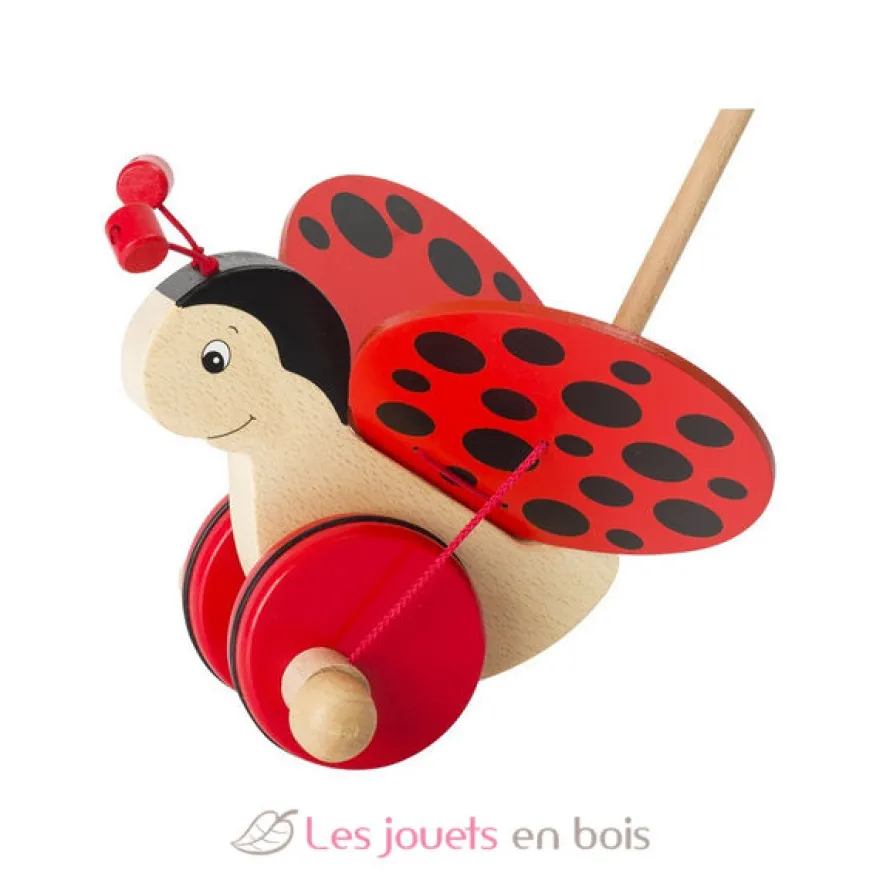 Coccinelle Florah à pousser en bois rouge - Goki