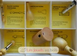 Coffret 6 appeaux - Oiseaux Nord Americain - Quelle est Belle Company