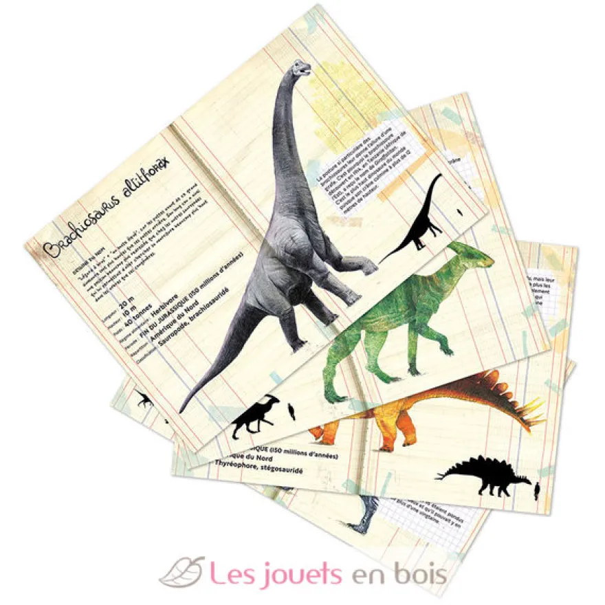 Coffret de 21 magnets dinosaures - Vilac