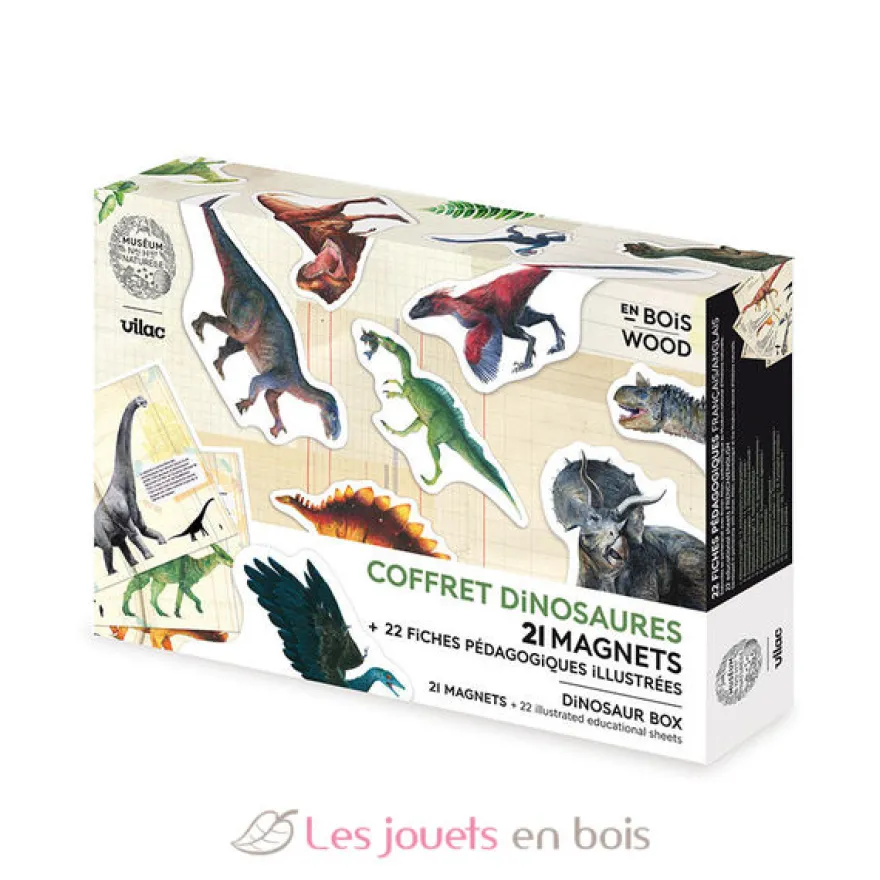Coffret de 21 magnets dinosaures - Vilac