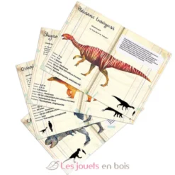 Coffret de 21 magnets dinosaures - Vilac