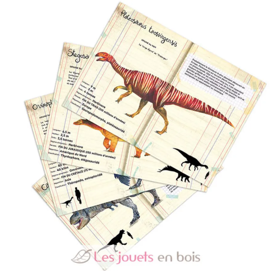 Coffret de 21 magnets dinosaures - Vilac