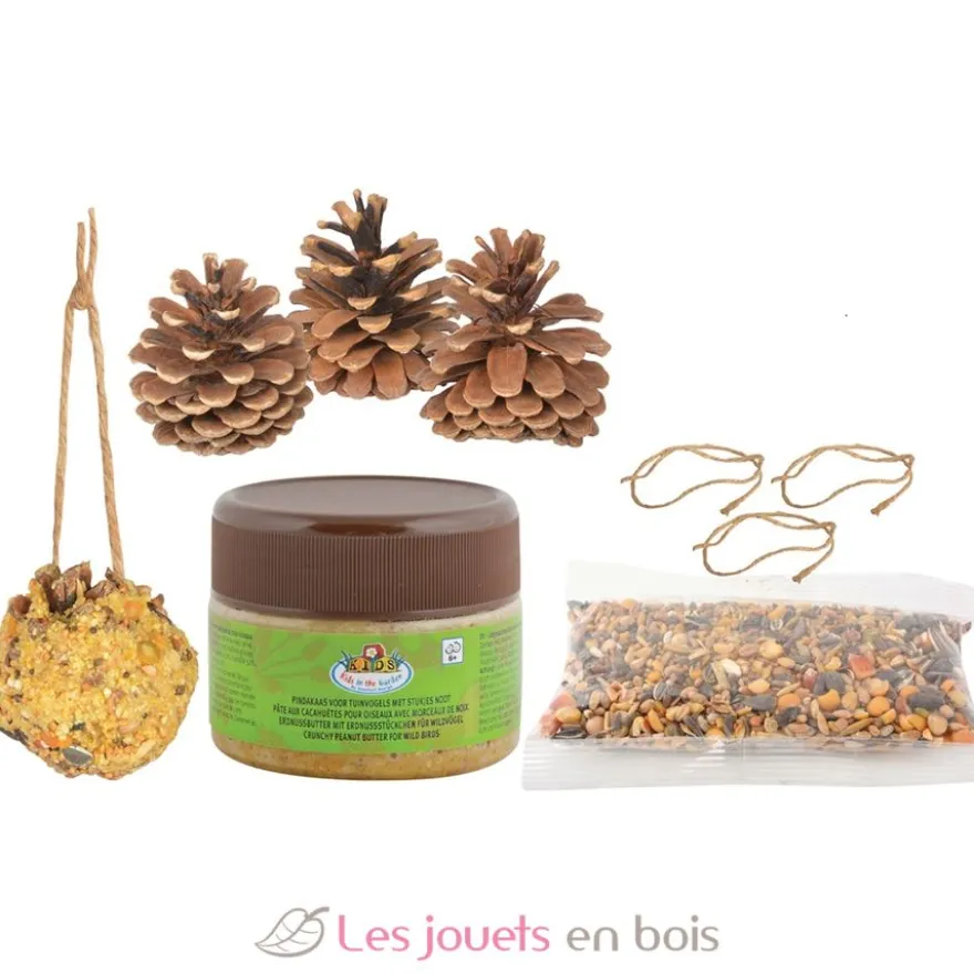 Coffret DIY - Mangeoire pomme de pin - Esschert Design