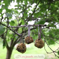 Coffret DIY - Mangeoire pomme de pin - Esschert Design