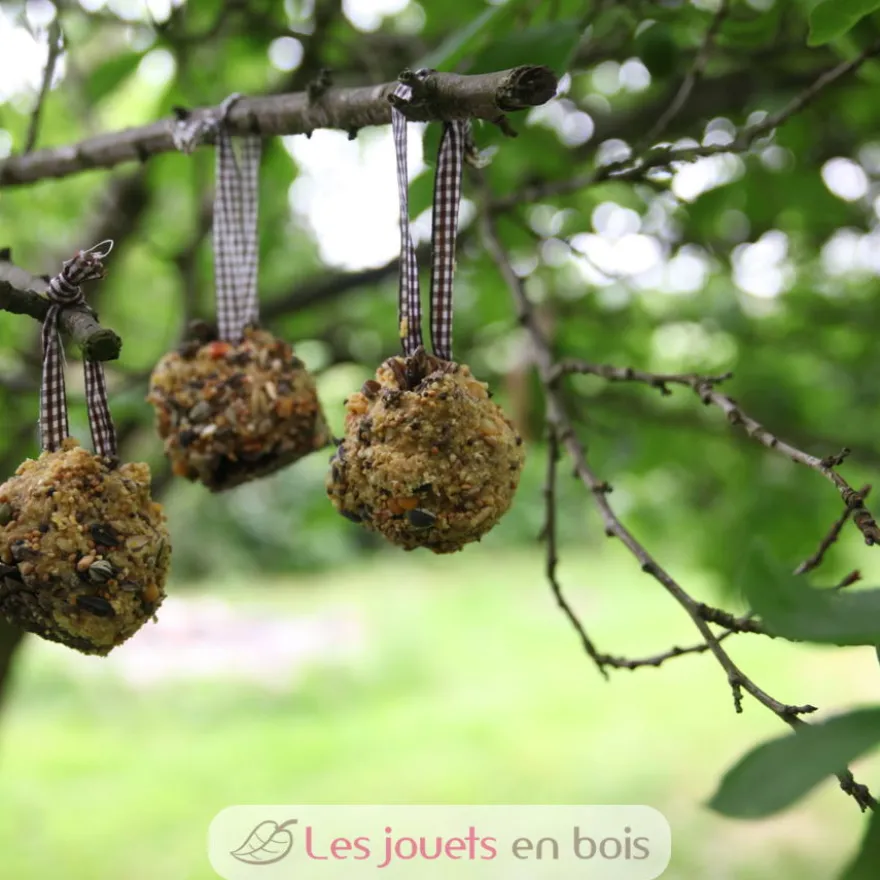 Coffret DIY - Mangeoire pomme de pin - Esschert Design