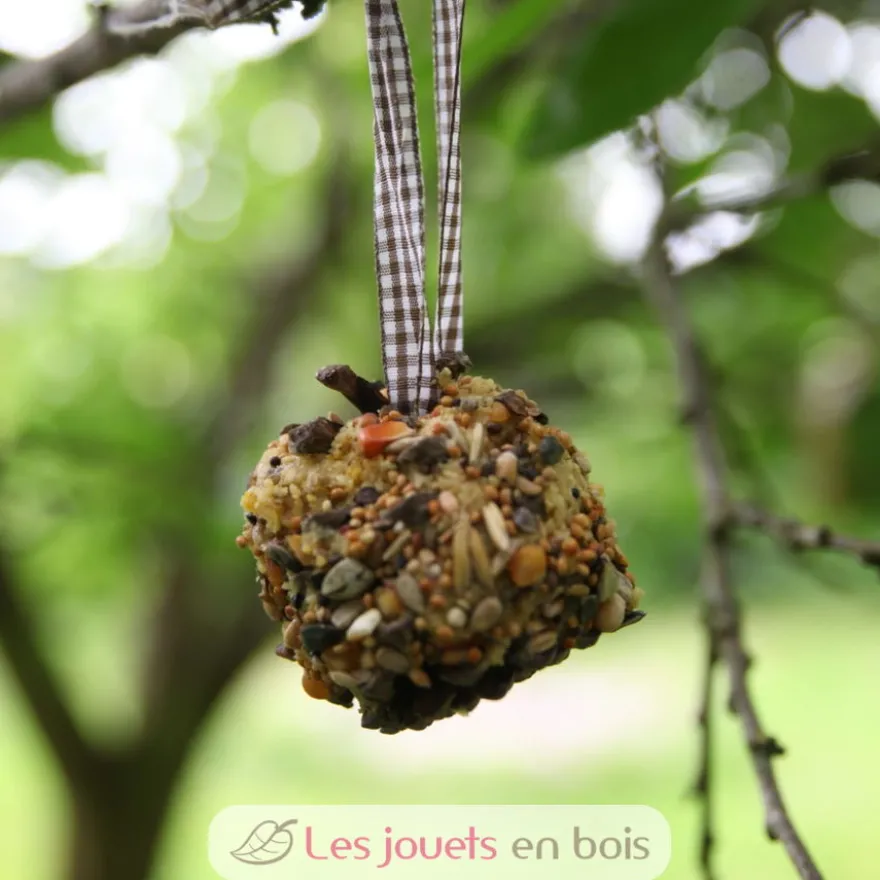 Coffret DIY - Mangeoire pomme de pin - Esschert Design