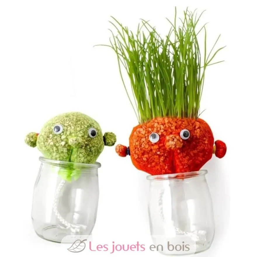 Coffret DIY - Mr Patate à faire pousser - Radis et Capucine