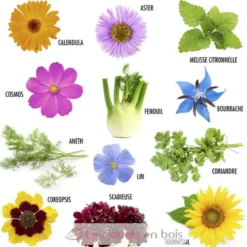 Coffret graines de Fleurs à Papillons - Radis et Capucine