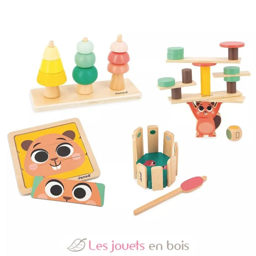 Coffret jeux éducatifs 36 mois - Janod