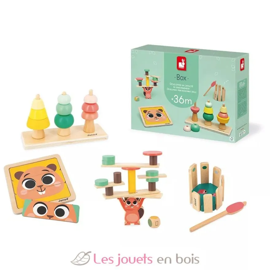 Coffret jeux éducatifs 36 mois - Janod