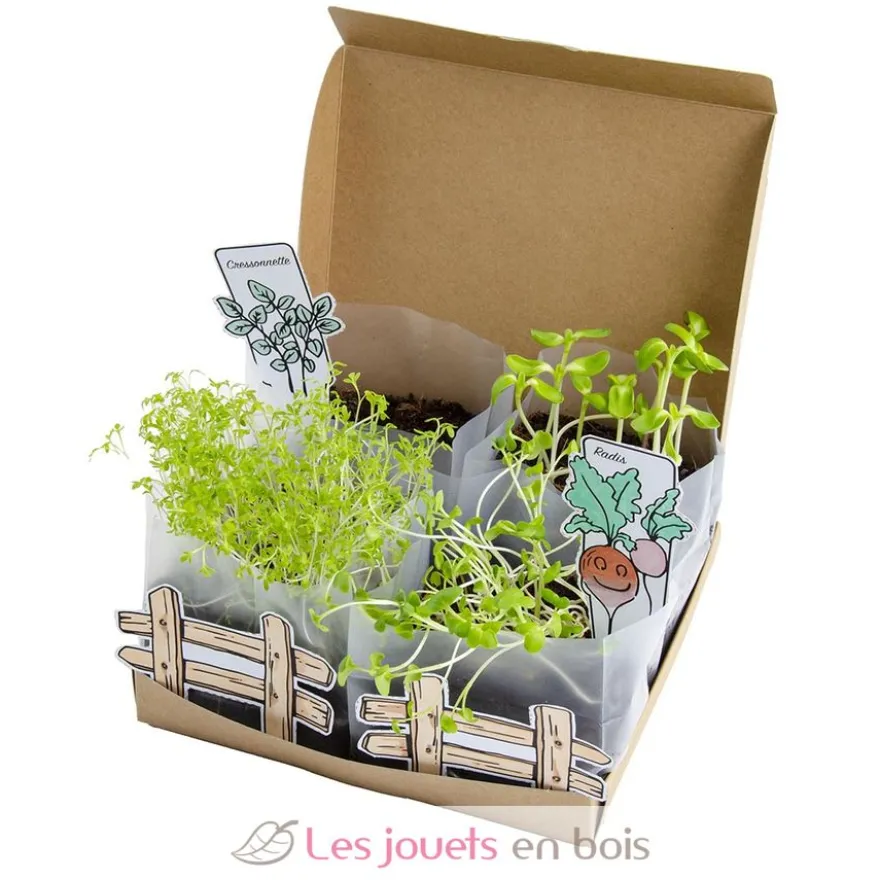 Coffret Mini Potager - Radis et Capucine