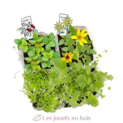Coffret Mini Potager - Radis et Capucine
