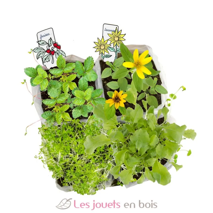 Coffret Mini Potager - Radis et Capucine