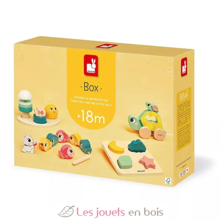 Coffret motricité fine 18 mois - Janod