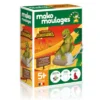 Coffret moulage Tyrannosaure - Mako Créations