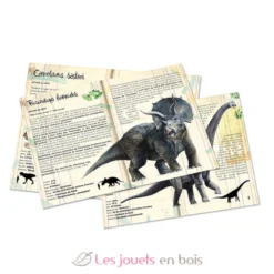 Coffret 3 puzzles dinosaures et posters - Vilac