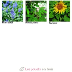 Coffret 40 sachets de graines à semer - Radis et Capucine