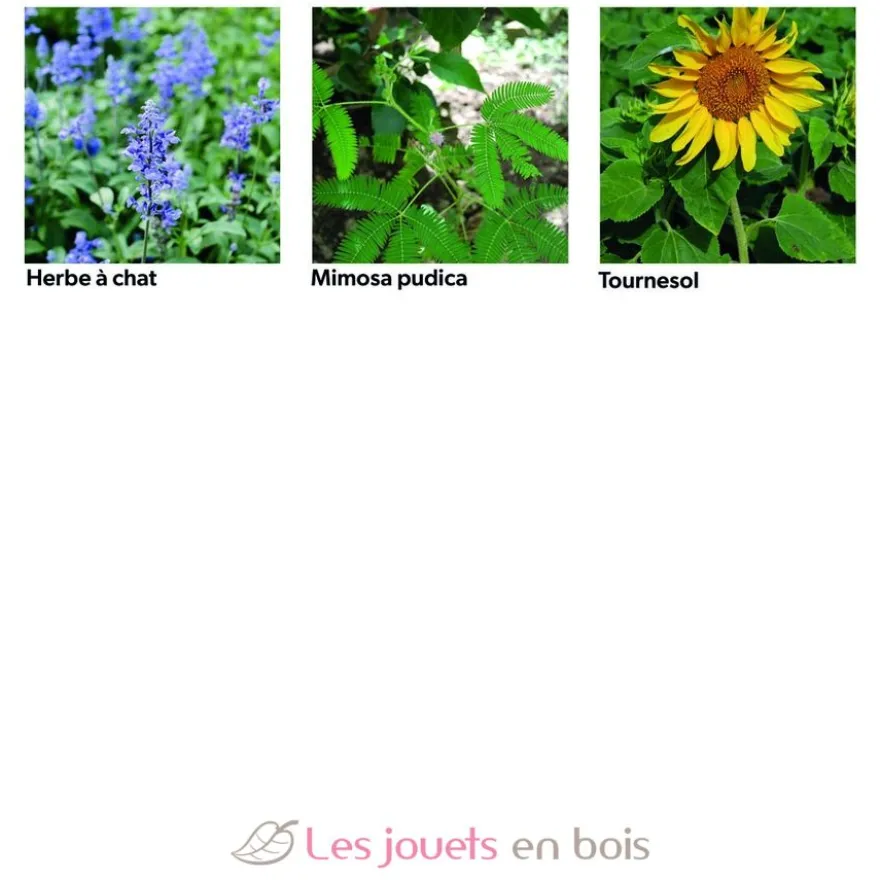 Coffret 40 sachets de graines à semer - Radis et Capucine