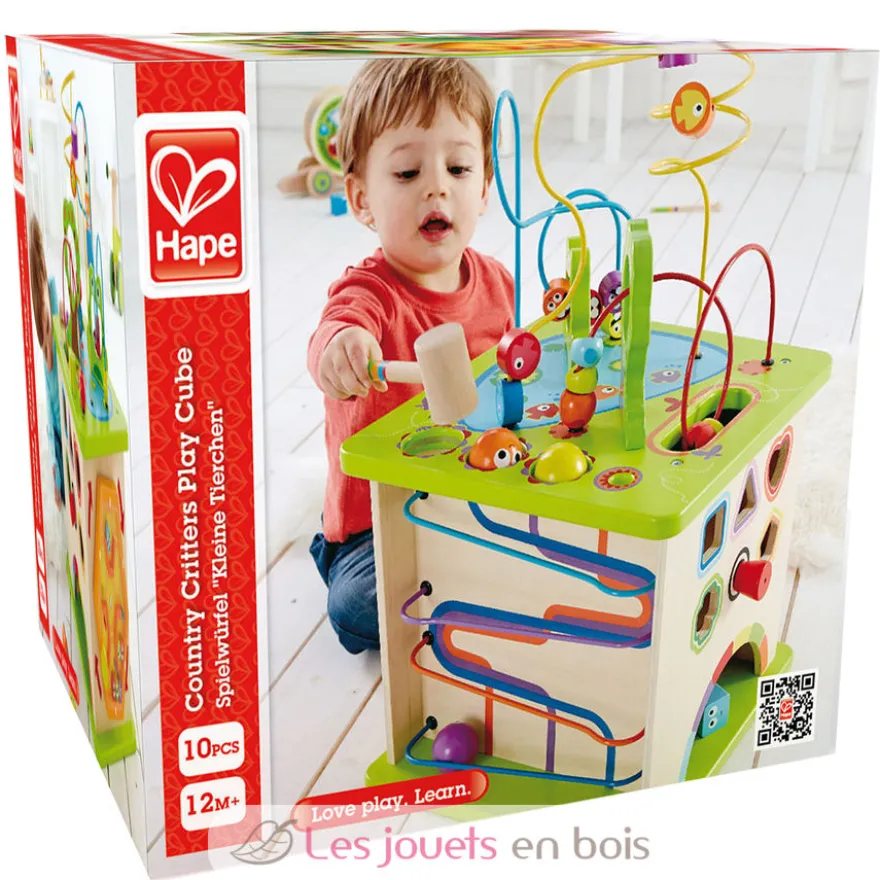Cube d'activités - Hape Toys