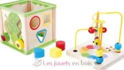 Cube d'activités Insectes multicolore Small Foot Compagny