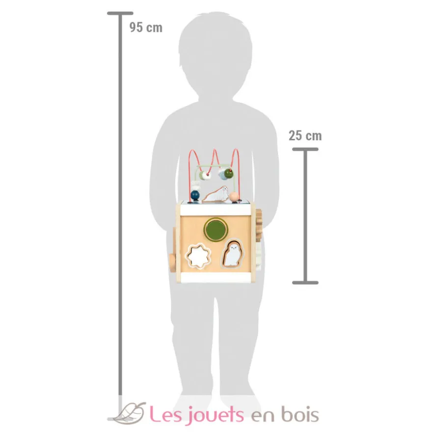 Cube de motricité Arctic - Small Foot Compagny